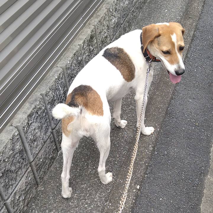 9aed16b9 4244 4a63 adf1 deb6af45183e 1625979262827