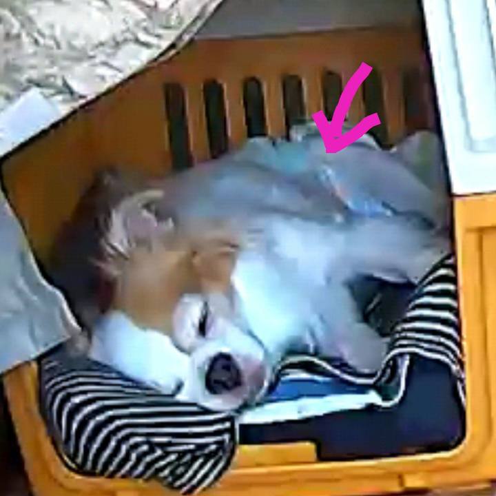 9aed3602 ac81 4d1d af9d 9e50ceaf2074 1602560456523