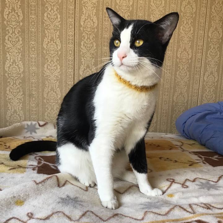 9aed456d ca96 465b 99f3 91107ae72a4e 1648683620053