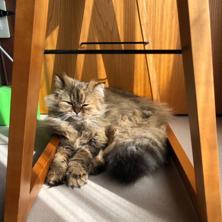 9aed47f2 b20b 4fb0 8024 995d1ff72543 1553414147372