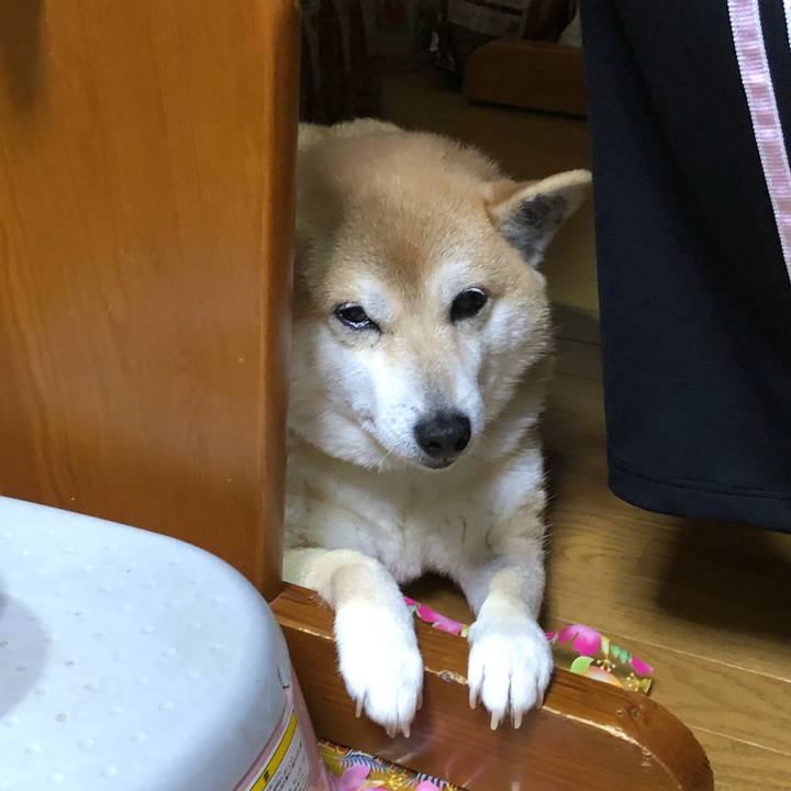 9aed5d0b cbde 4f5b ac8a 46f487e98d4f 1555026275690