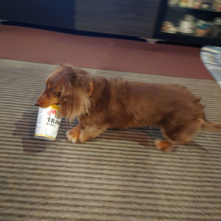 9aed67f4 0de9 4645 9061 44e250e60b8a 1649375971666