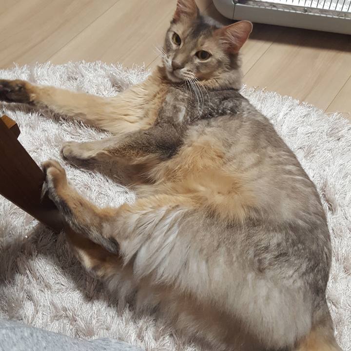 9aed6d40 2fca 46c2 aa4e 49457df28416 1579779125674