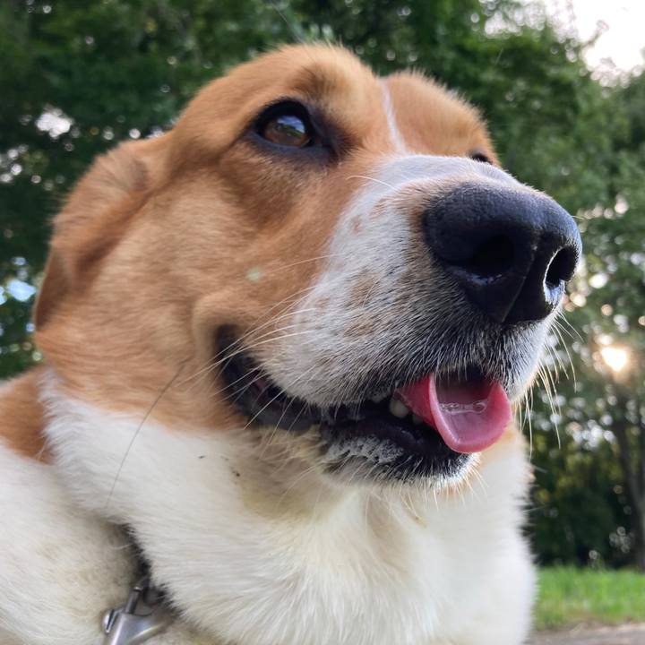 9aeda259 eb9a 40d1 b94b f60619ee48a3 1686968599280