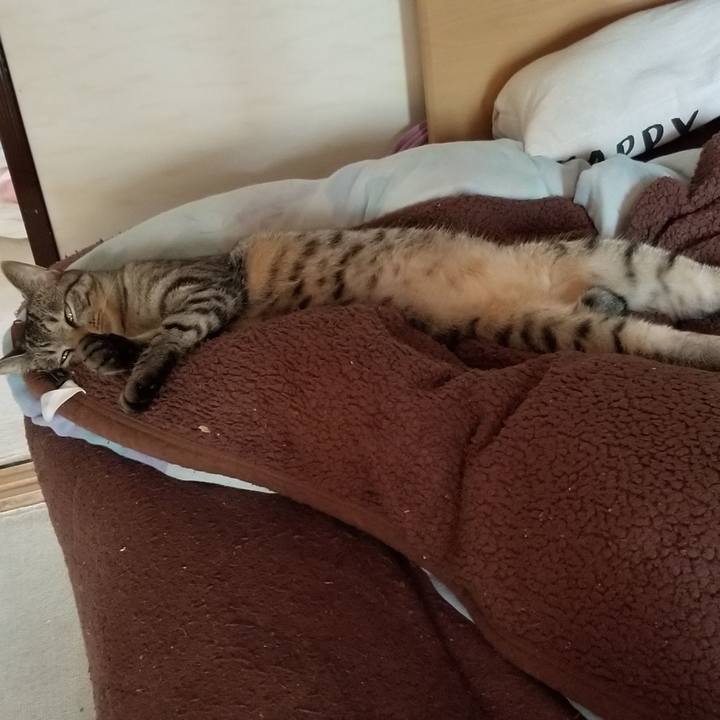 9aedb397 07c8 4bb8 94fc e1a41acfb5f0 1690907542157