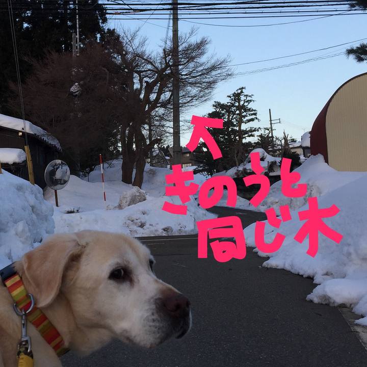 9aedf2e6 ef41 4267 9c7c 0a3c85cbffce 1519337114748