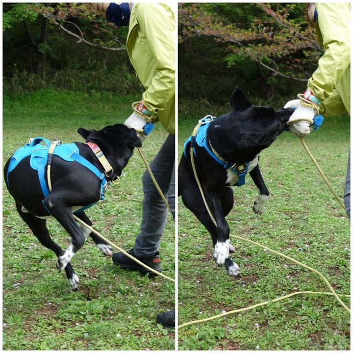 9aee0f6b 3190 4a53 bade 3c0342aec7e2 1617754579100