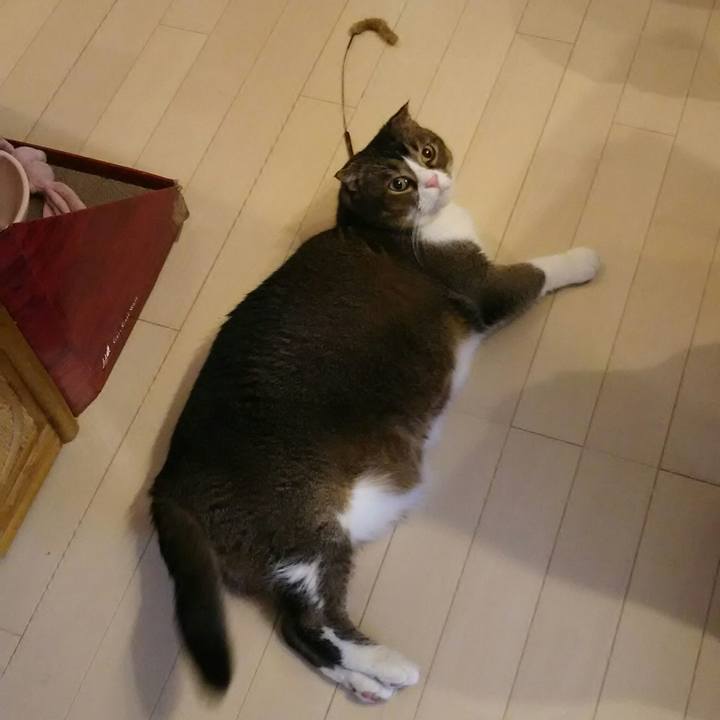 9aee4c74 9118 4cd6 8561 880ee3ecb6dc 1553907597970