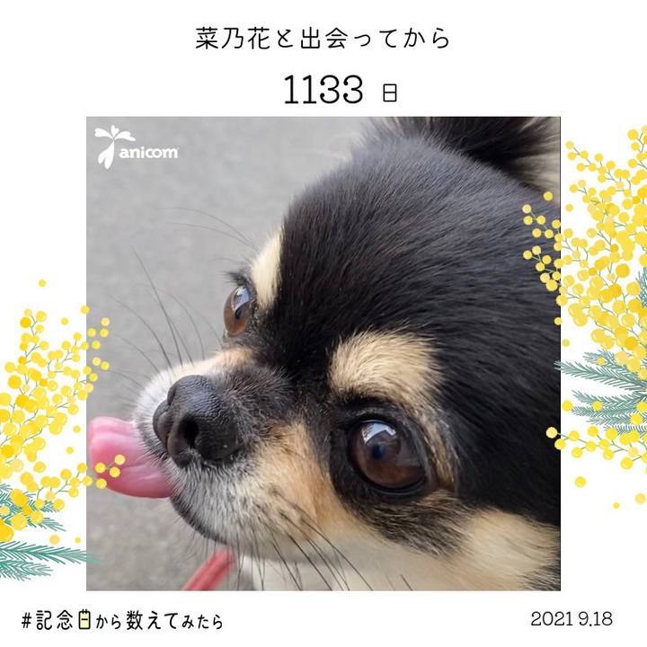 9aeeb4ac dc92 48b4 827a 31e4c0480091 1631942159501