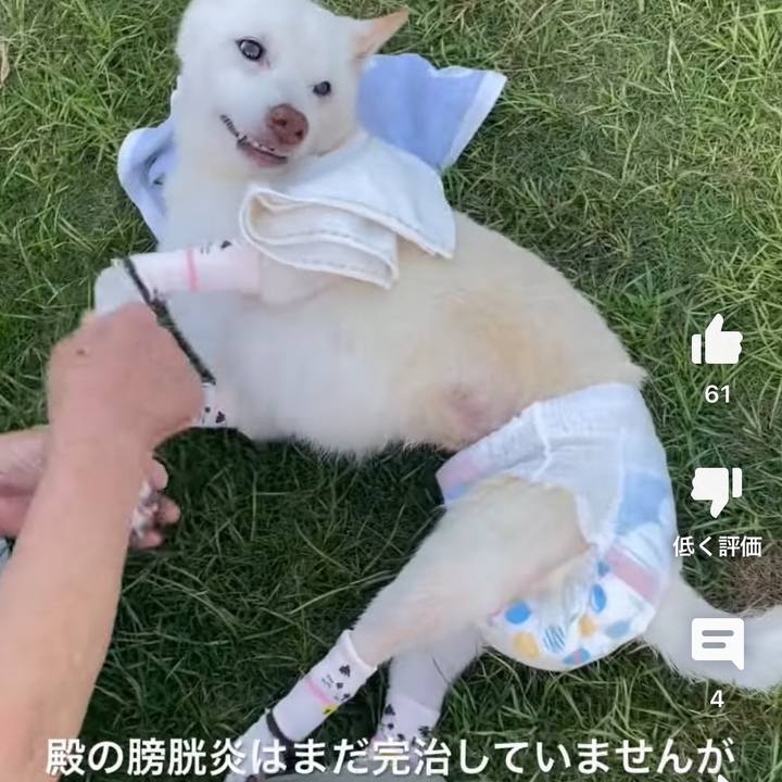 9aeeebae 893c 4756 b491 3c7cdb8414da 1691098724266