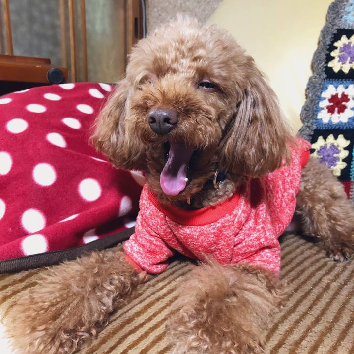 9aef19eb 015c 4d5a b85a 18e9d3060251 1549285769166