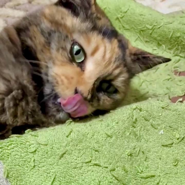 9aef1aa9 fc98 4814 9478 6f481e0a7d4b 1768073844402