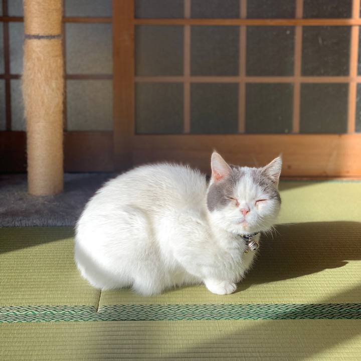 9aef3350 bd3b 43d5 93e6 676486ffcea0 1704795199116