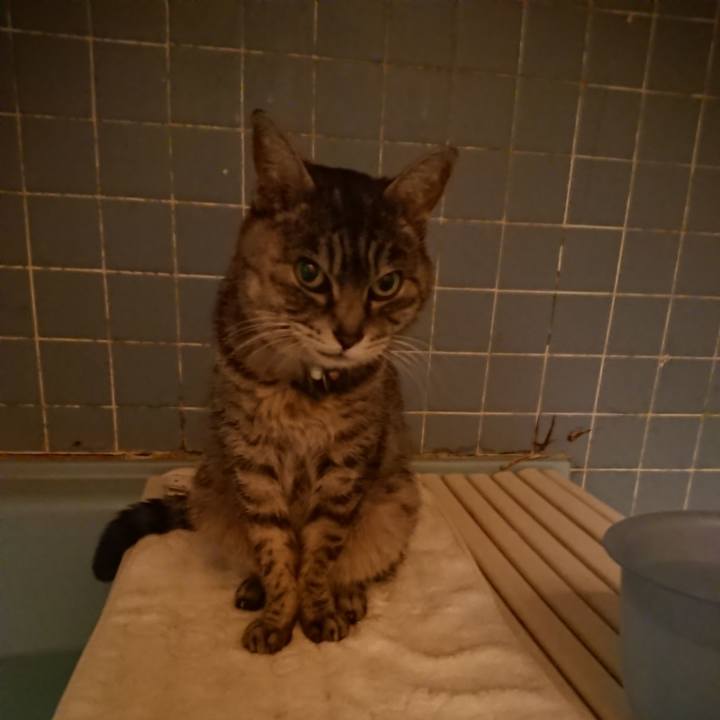 9aef4b47 4d70 4d20 b5fe c82c491d5979 1582797579632