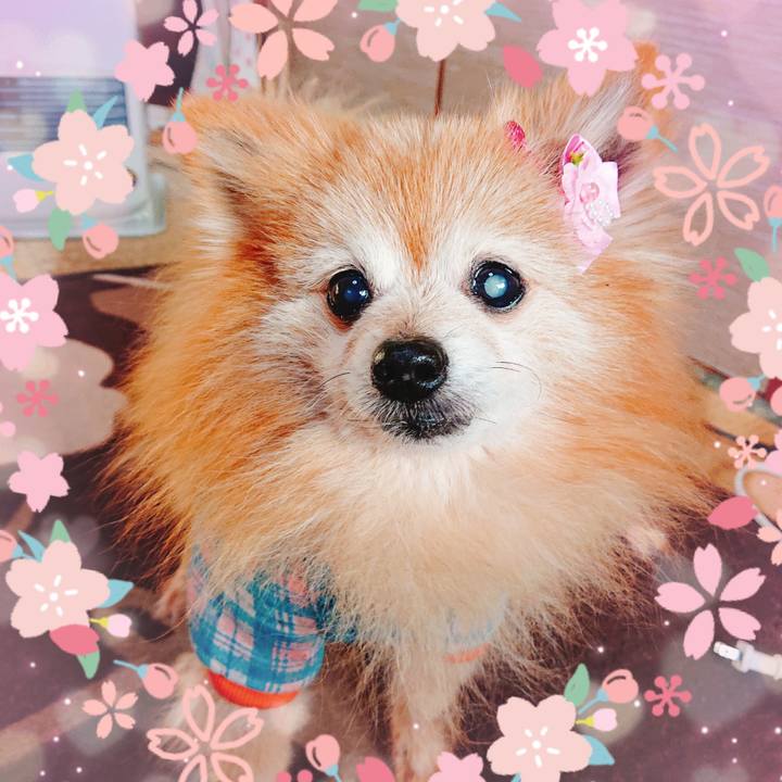 9aef5bdd 6808 4df2 98e2 f39e5bca8cb3 1614756545583