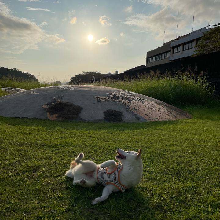 9aef6c52 4c6a 49e5 a254 082f77b0447e 1660481946006