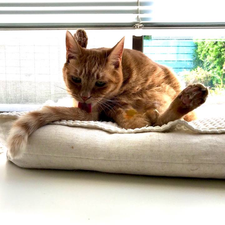 9aefa342 3143 4e70 9c52 7eb5e0dd7837 1573526391379