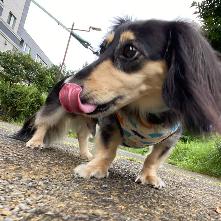 9aefb3c1 be8a 4c38 81d3 041193b2e41a 1723158908586