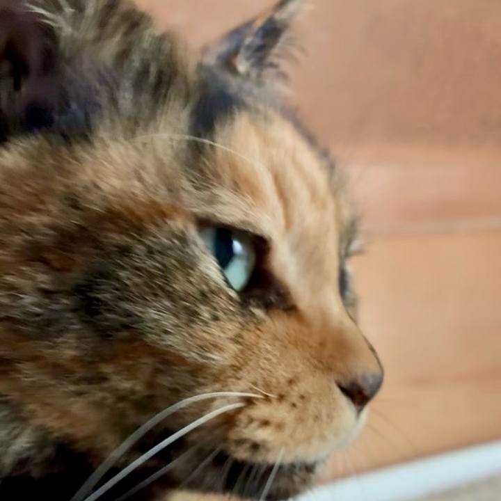 9aefd907 1379 46aa 8c58 d8f907e47595 1763347459804