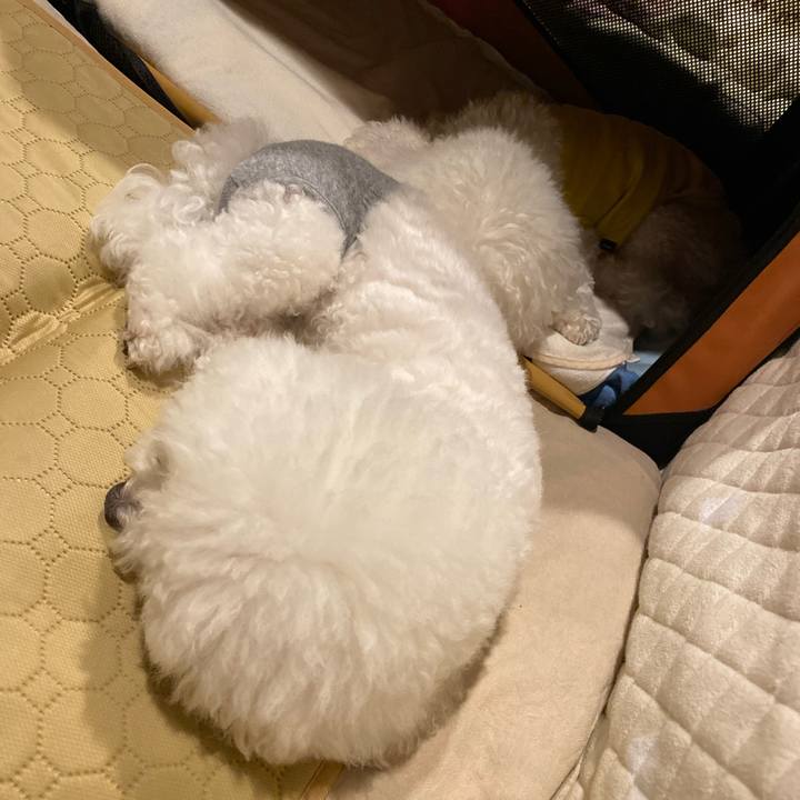 9aefeaad 563a 4f75 be9b 12dfd8d55d6a 1728031929674