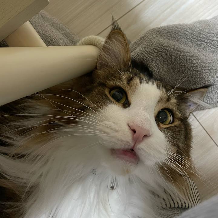 9aefeadd b8be 4577 b743 3d0eede47941 1671399057798