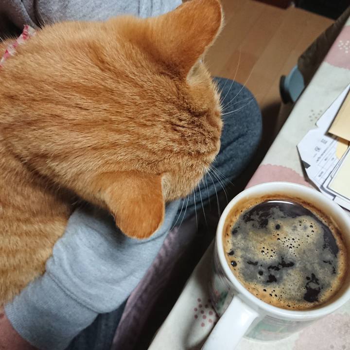 9aefed55 0923 4796 94ec 7911e88083b1 1608235496011