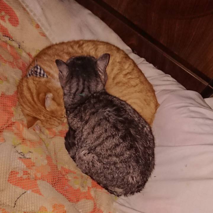 9aefff0e 6cf5 4750 932b 23c7d010d869 1575138083103