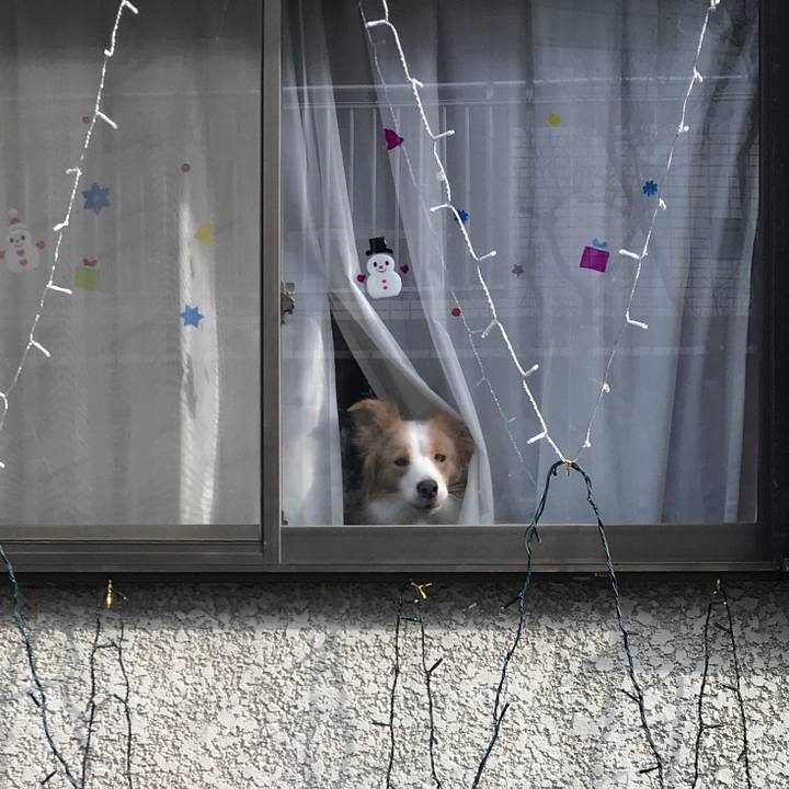 9af004ee ae92 490d 9eb2 69f7aece0568 1545834426430