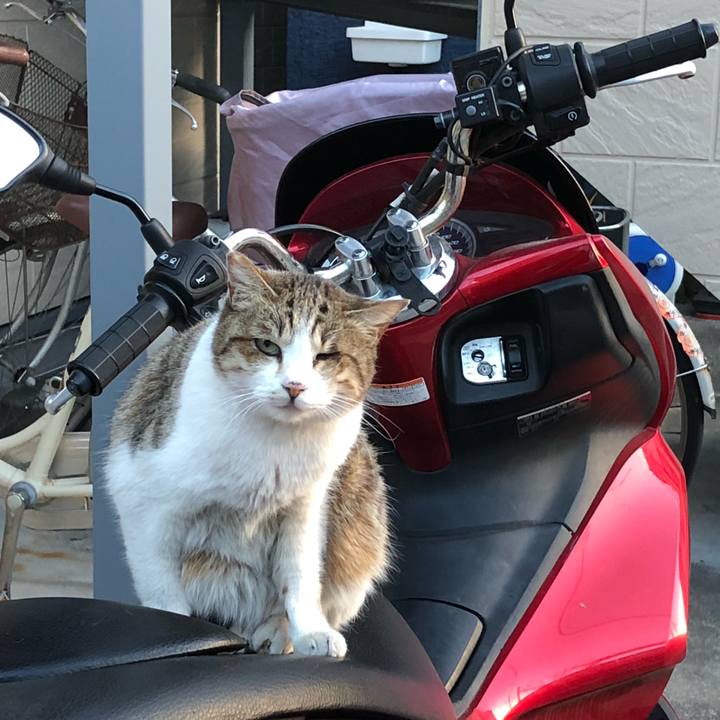 9af01e16 7803 4e59 bee6 d997657b6d08 1515322478496