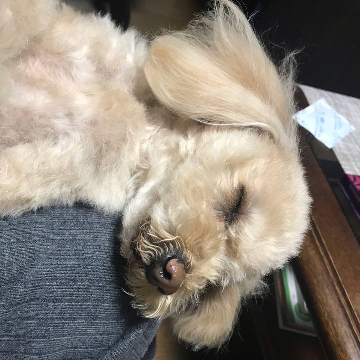 9af03101 e1d0 42f2 b7c7 fee056e5c9ee 1587301256422