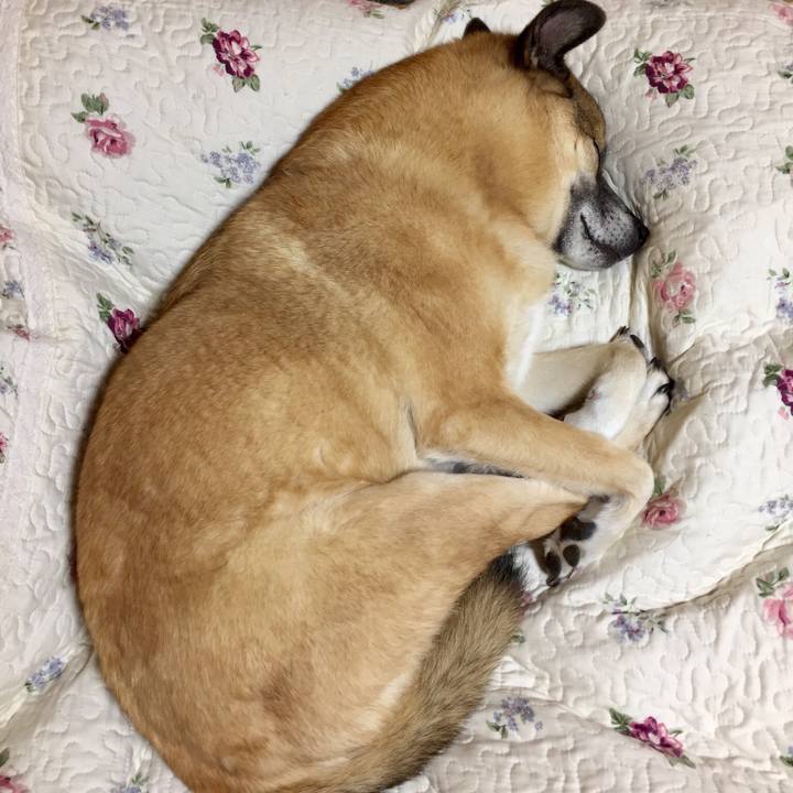 9af08b04 2a4e 4cdc 93ee e1ac1a51f334 1516286832723