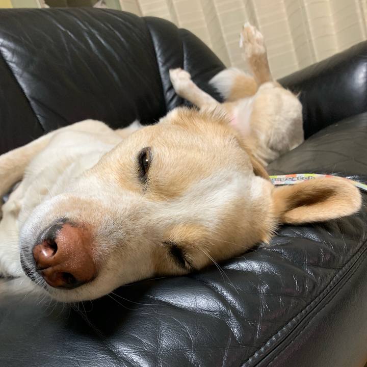 9af0963f cf64 4220 a5c0 93d8ae70c35b 1559092220955