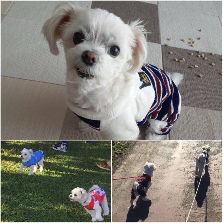 9af0c24a 95c5 4137 8239 c1e97618343a 1620914410529