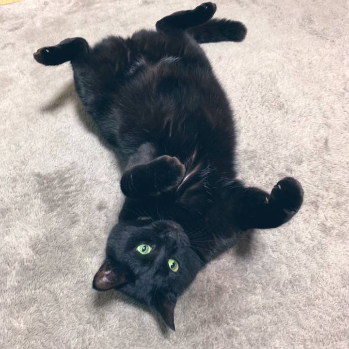 9af0c507 581c 4381 995d 259c4925ef6b 1585305255478