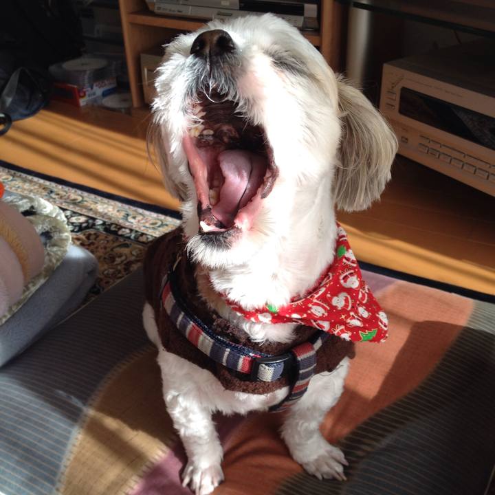 9af11e40 8621 47fe 84e2 4a15e8c0c2ae 1513980028460