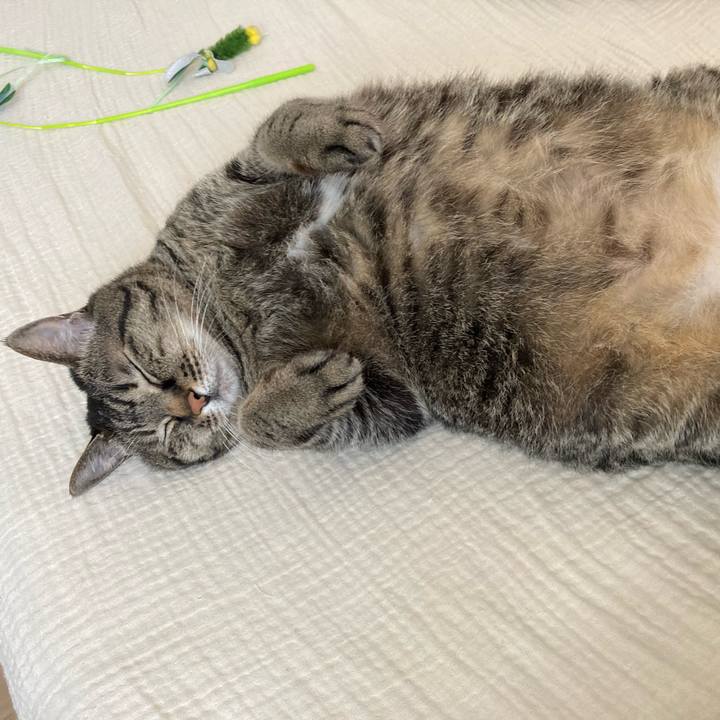 9af1248c 0b72 4e94 b273 bc82f3b54abe 1754366722625