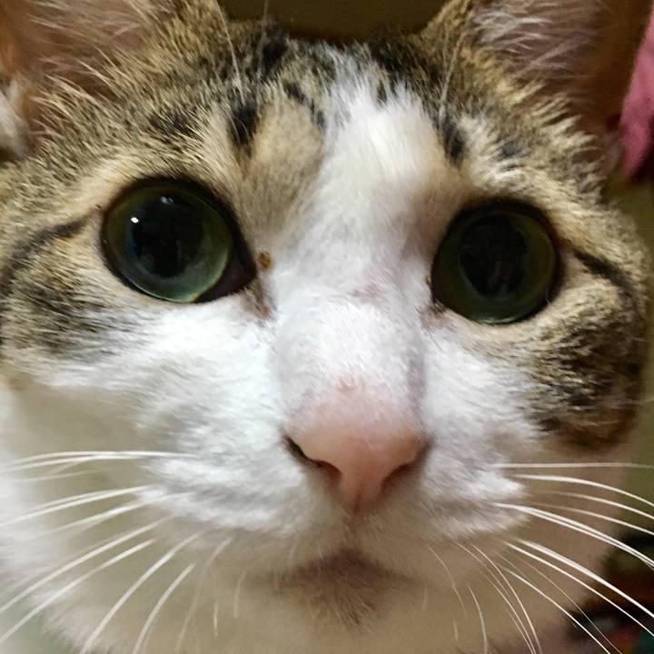 9af17787 e01b 4d62 ab25 cb6fad451d38 1518873259558