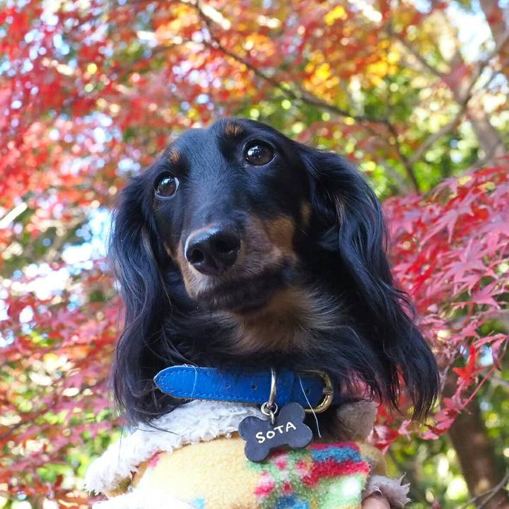 9af1b6b6 f70d 4122 8ccc 6187083d25d6 1511242011039