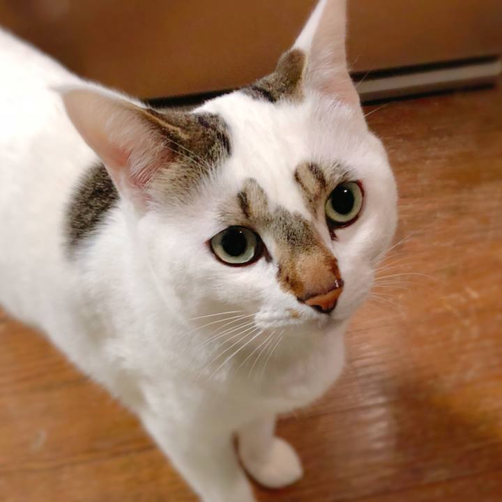 9af1b999 459a 463f 8537 726c1ec9e23d 1520170013718