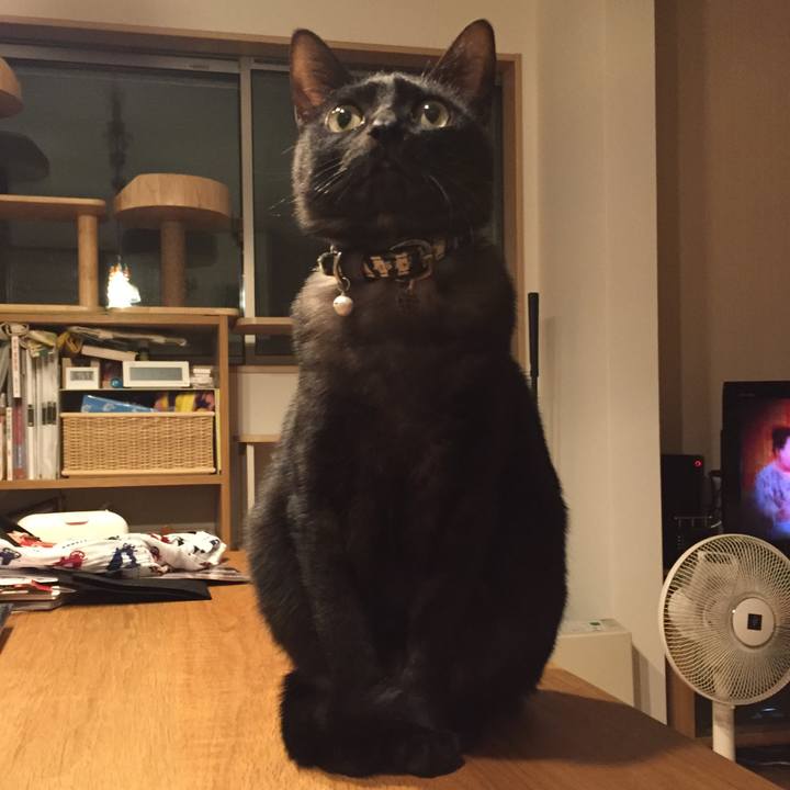 9af20ce1 4043 4e8f baf2 e5832e75ab6c 1513126702212