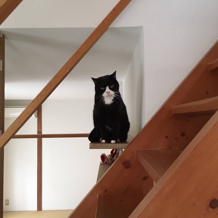 9af25004 68a8 4b50 9c66 06398c1d6a44 1551054344870