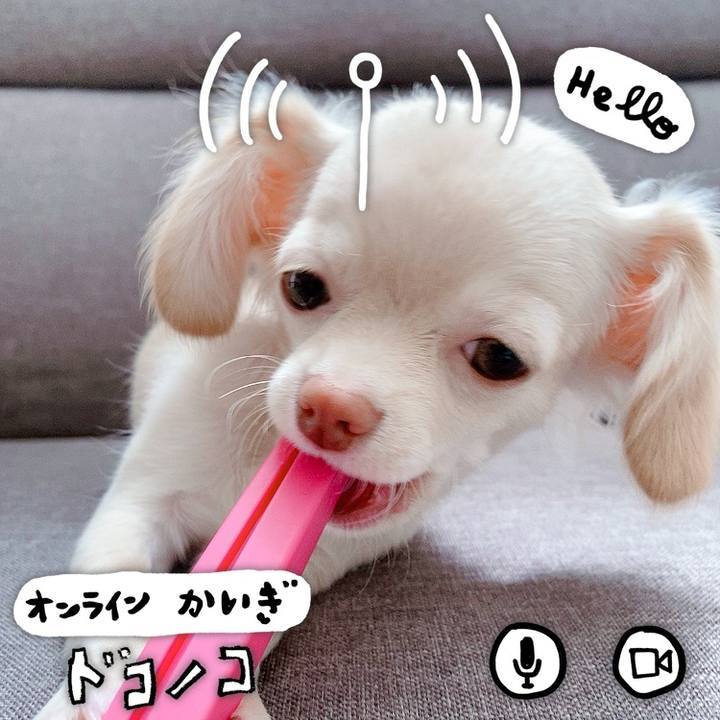 9af27295 3f1e 4036 81a4 032a617e12fe 1593412425665