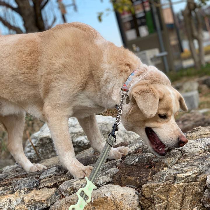 9af2a4cf 9f16 4d65 a179 86ecac8f6935 1550287295955