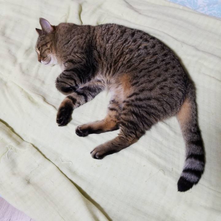 9af2a4e7 66d3 43a6 ac2c db37bcdd2456 1595421873500