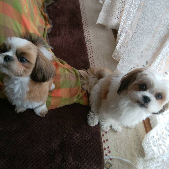 9af2cd48 8ab9 4067 9db4 6e215adb3e99 1541397485968