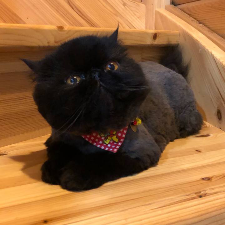 9af2f01c f103 4820 80b1 d2b8dbcf3b9b 1653829859764