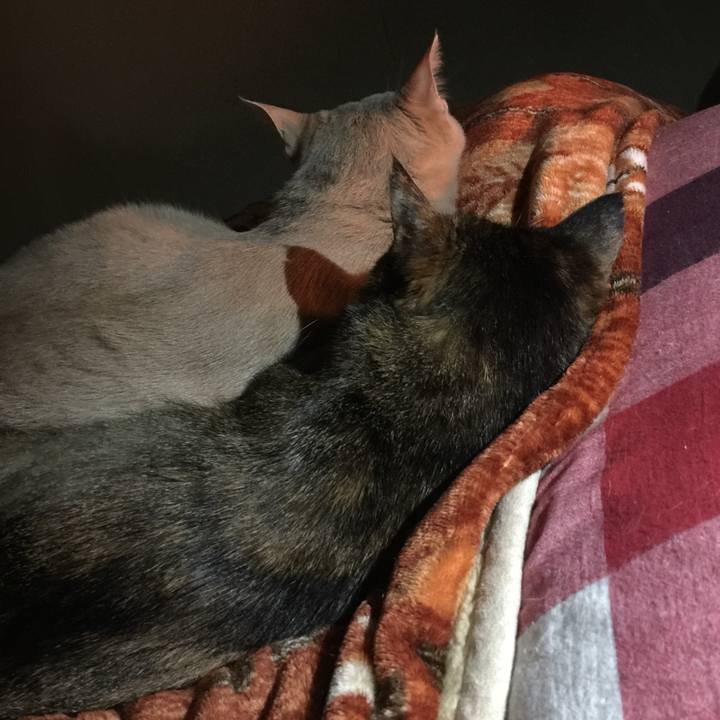 9af30acf 6a51 4d1a 8d83 050e158b6d02 1520164470564