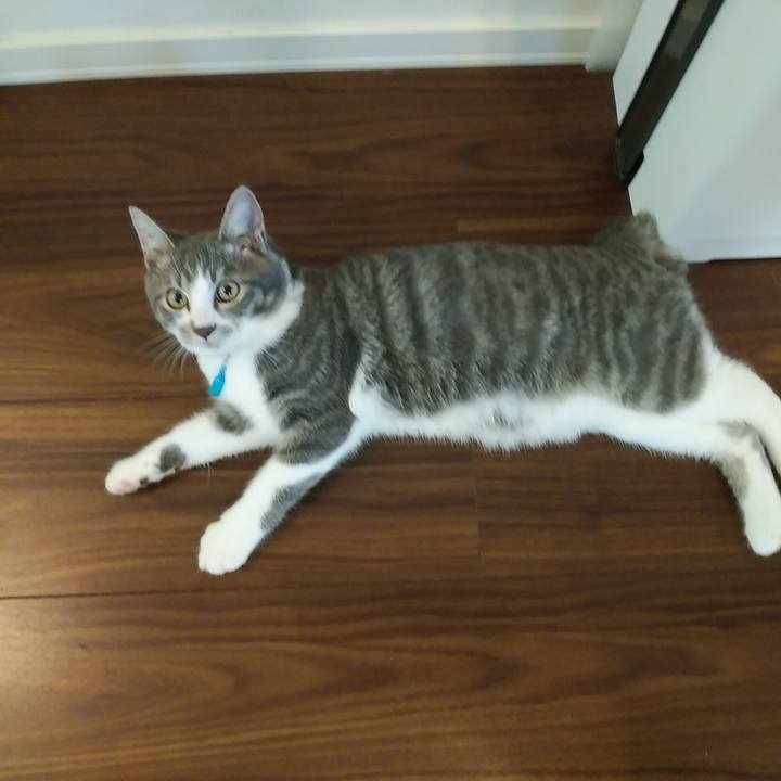 9af30be8 71c4 40c7 af9a f945bc9dc9d4 1567642256046