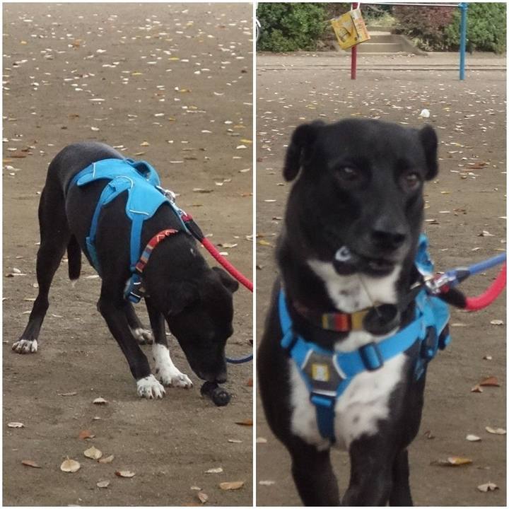 9af31588 6778 4f72 b6fe 83ec572ed23d 1604708506397