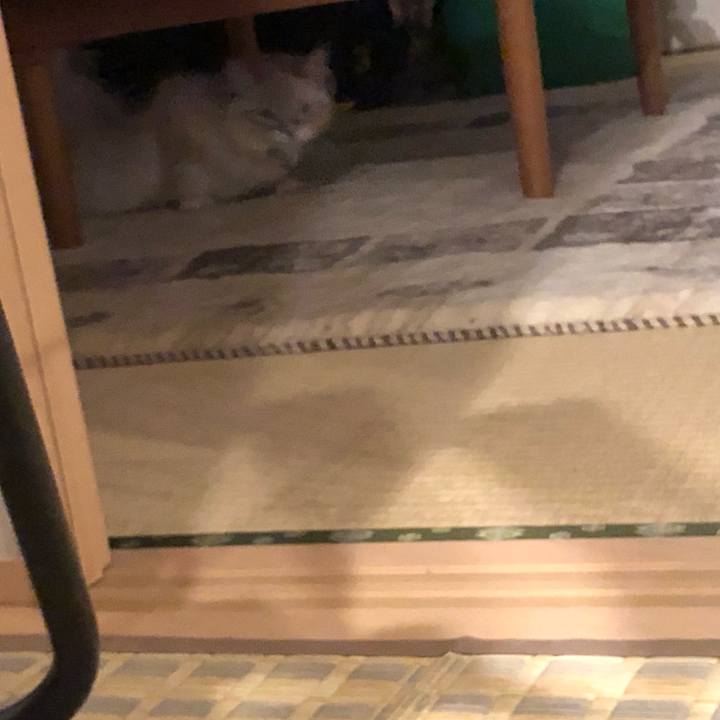 9af32440 58bf 4de6 90c1 88aa32d7b183 1681895868522